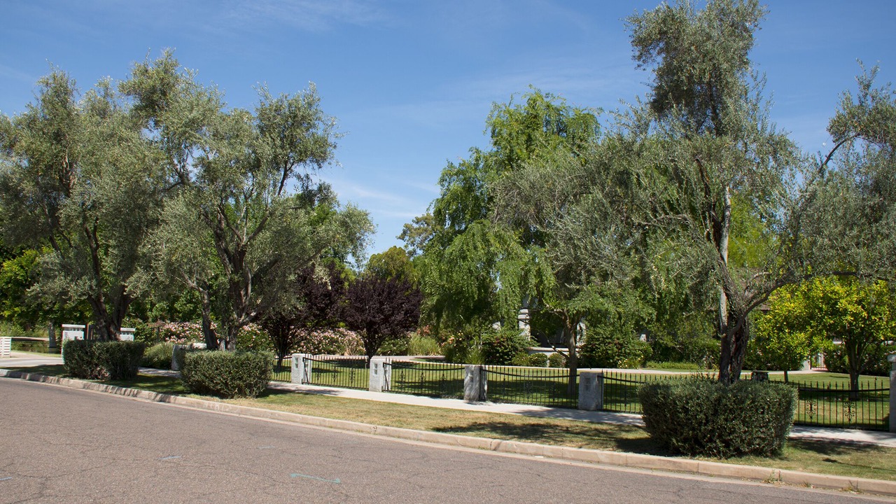 Photo of Others in Los Olivos