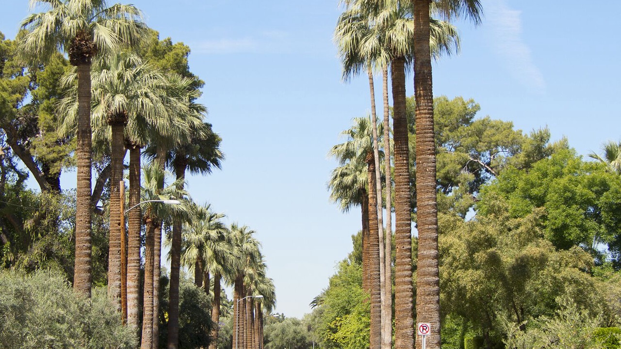 Photo of Others in Los Olivos
