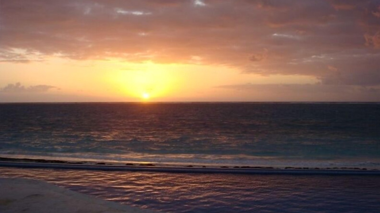 Photo of Others in Puerto Morelos