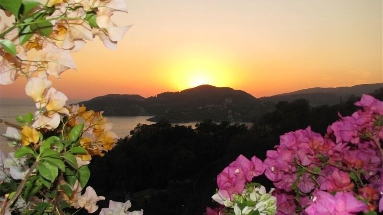 Photo of Others in Zihuatanejo