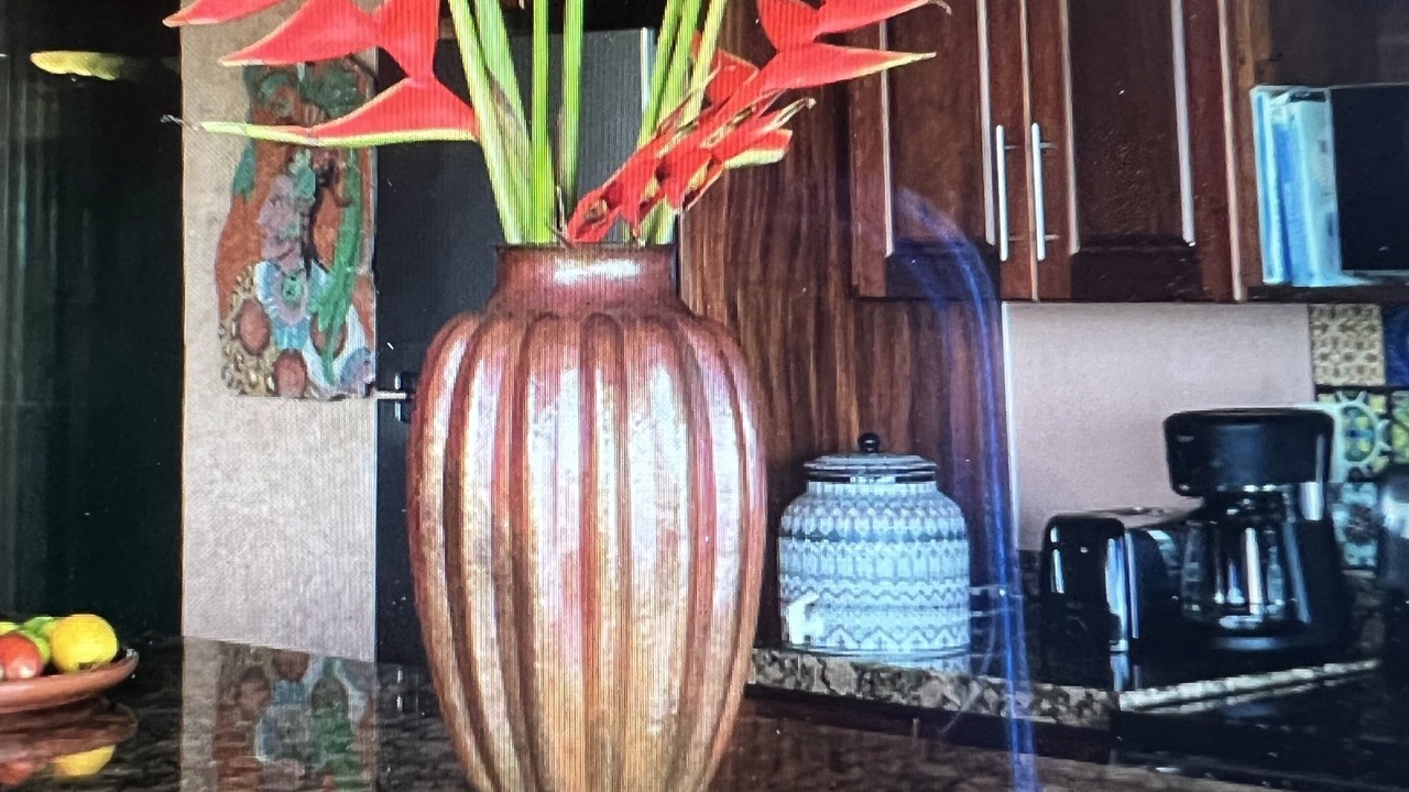 Photo of Kitchen in Zihuatanejo