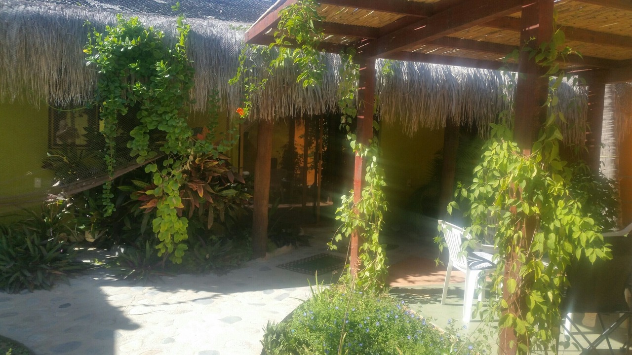 Photo of Patio Balcony in Los Barriles