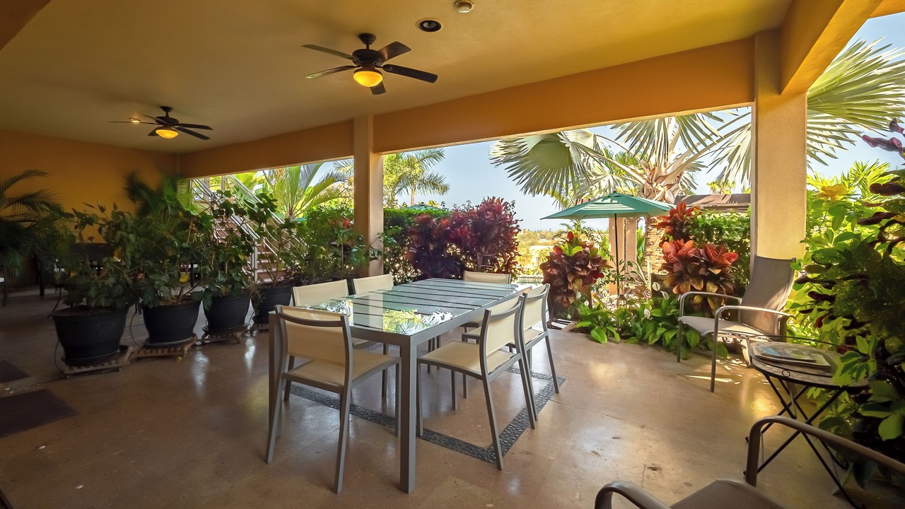 Photo of Outdoor in Downtown San Jose del Cabo