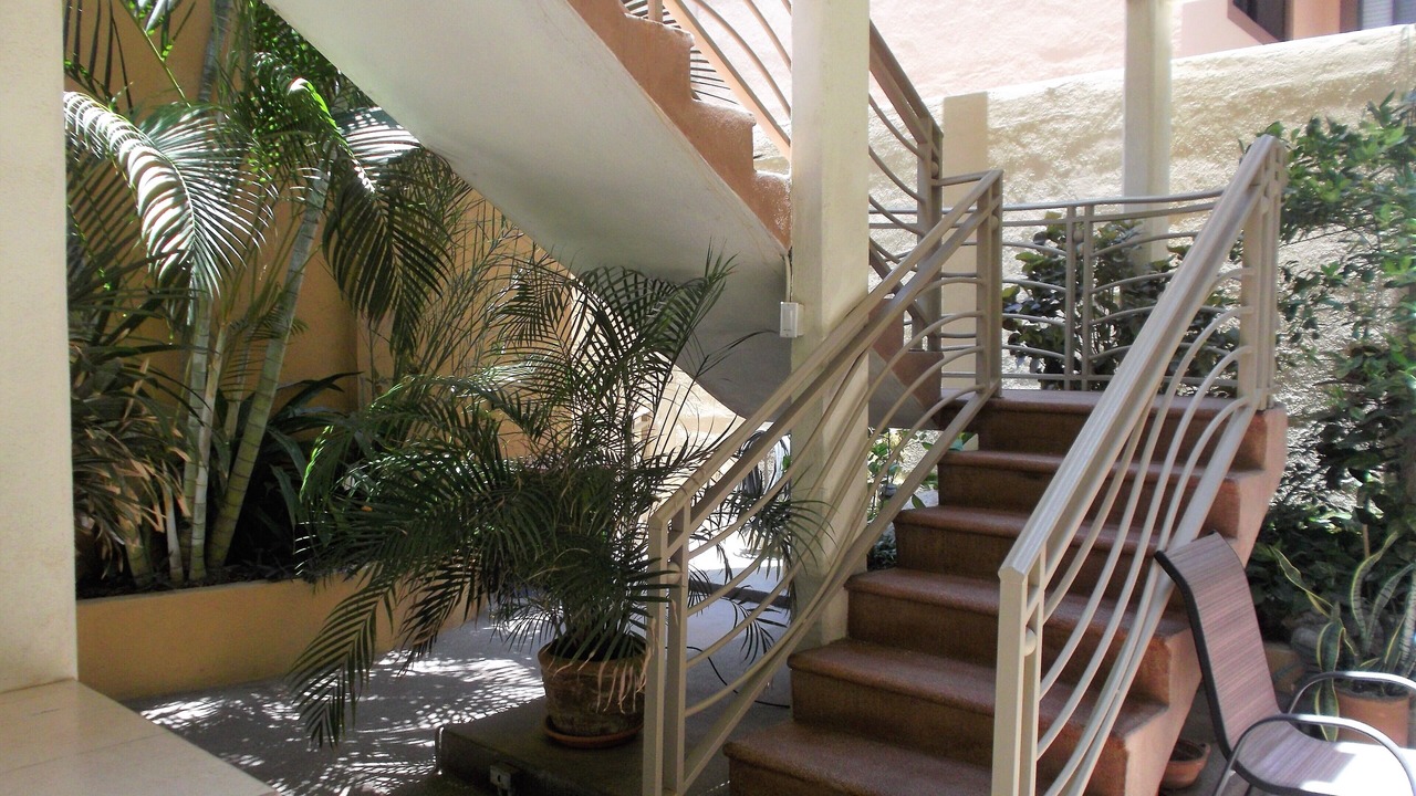 Photo of Outdoor in Downtown San Jose del Cabo