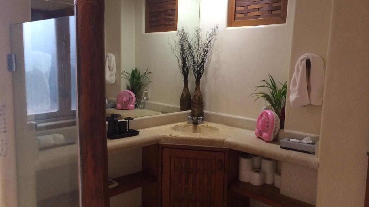 Photo of Bathroom in Zihuatanejo