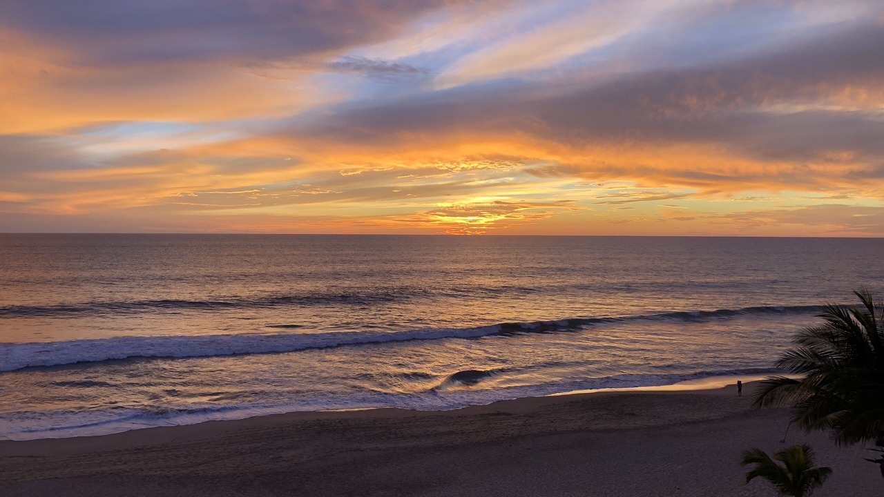 Photo of Others in Mazatlan