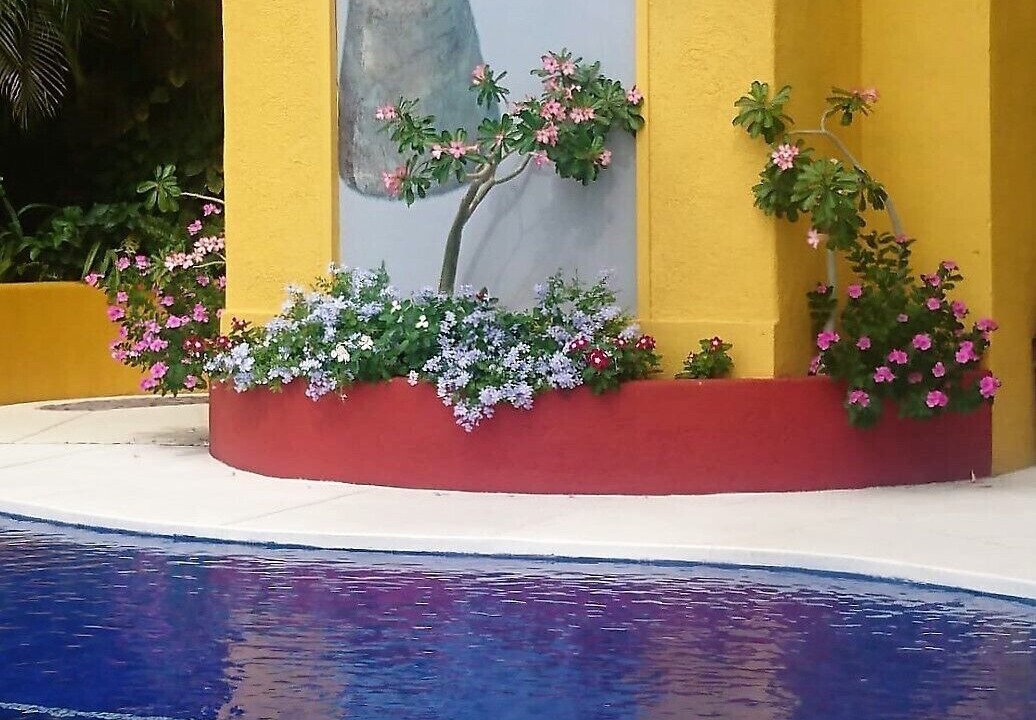 Photo of Outdoor in Zihuatanejo