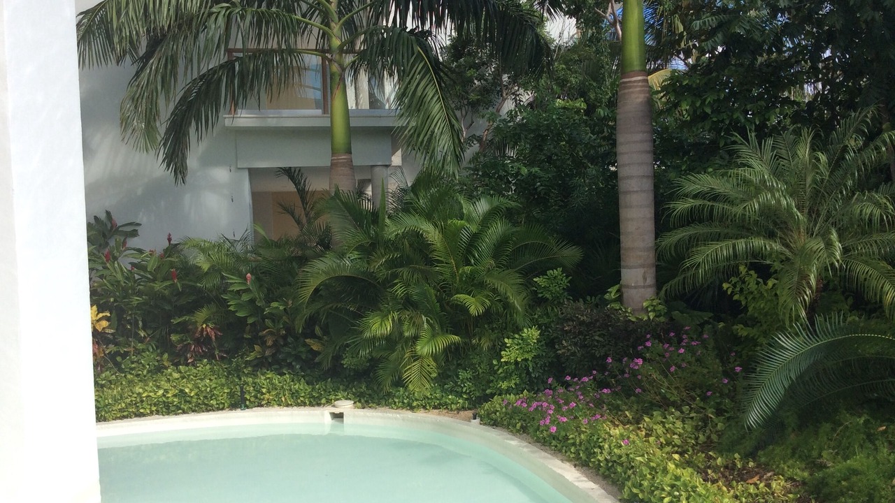 Photo of Outdoor in Villa Juarez