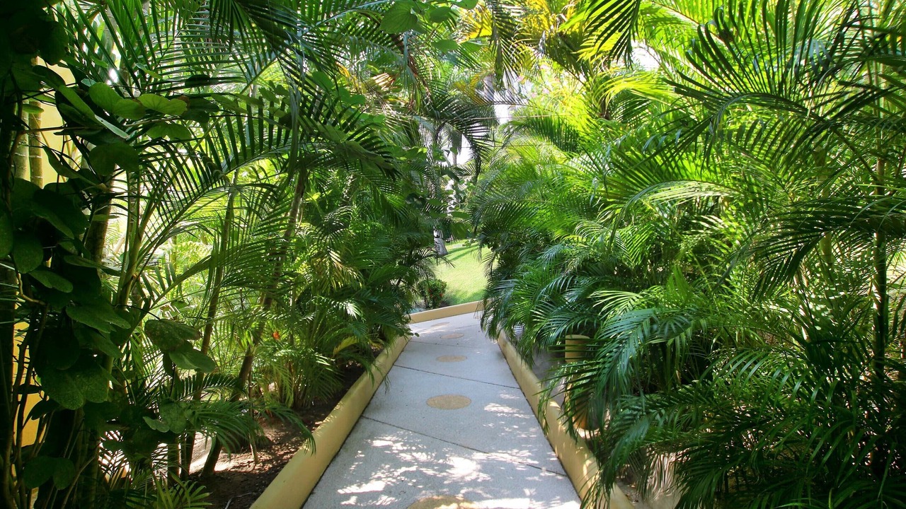Photo of Outdoor in Zihuatanejo