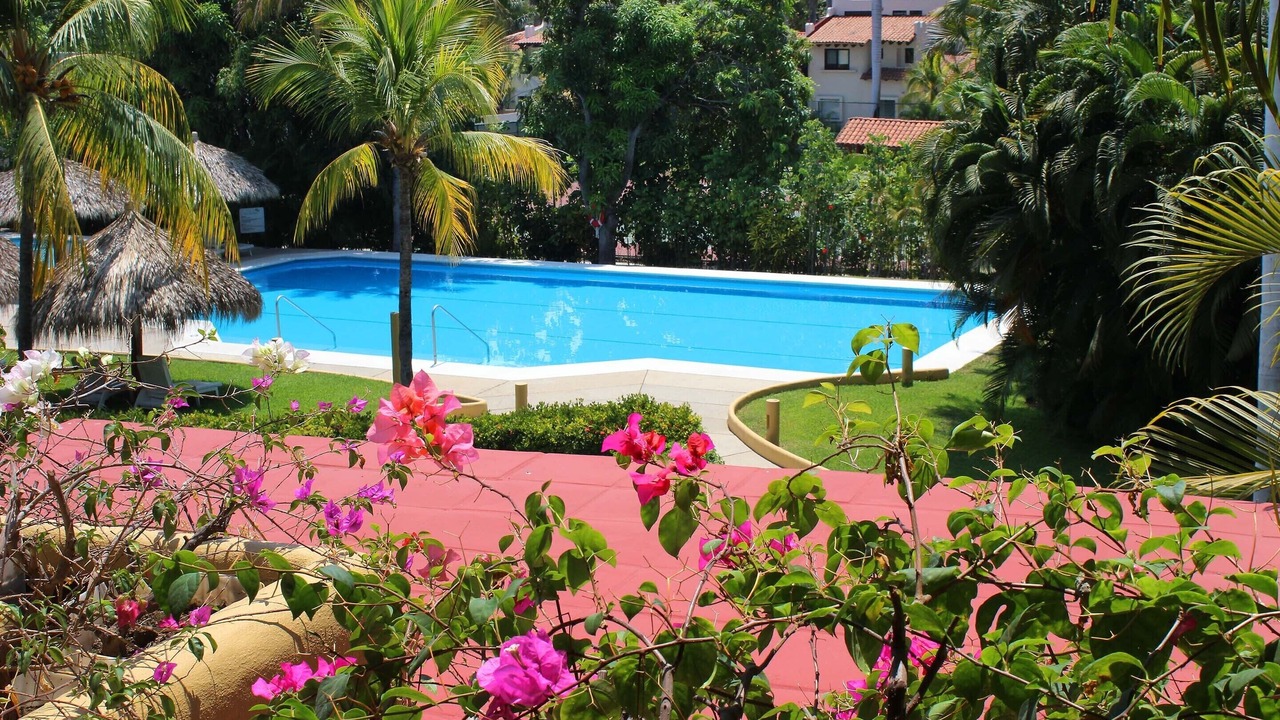 Photo of Outdoor in Zihuatanejo