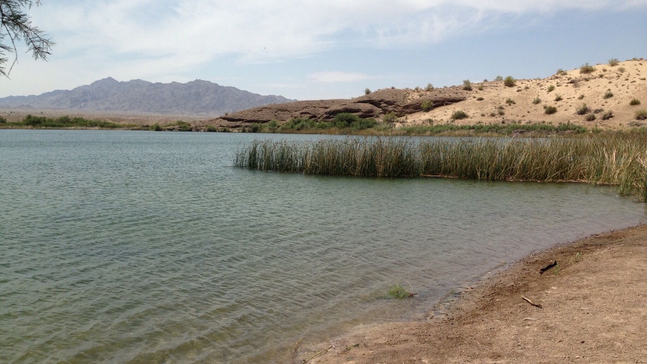 Photo of Others in Desert Hills
