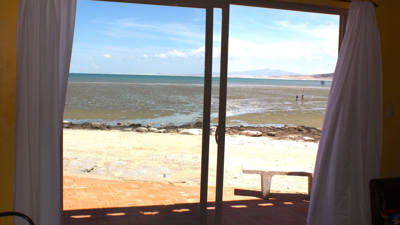 Photo of Others in Cholla Bay