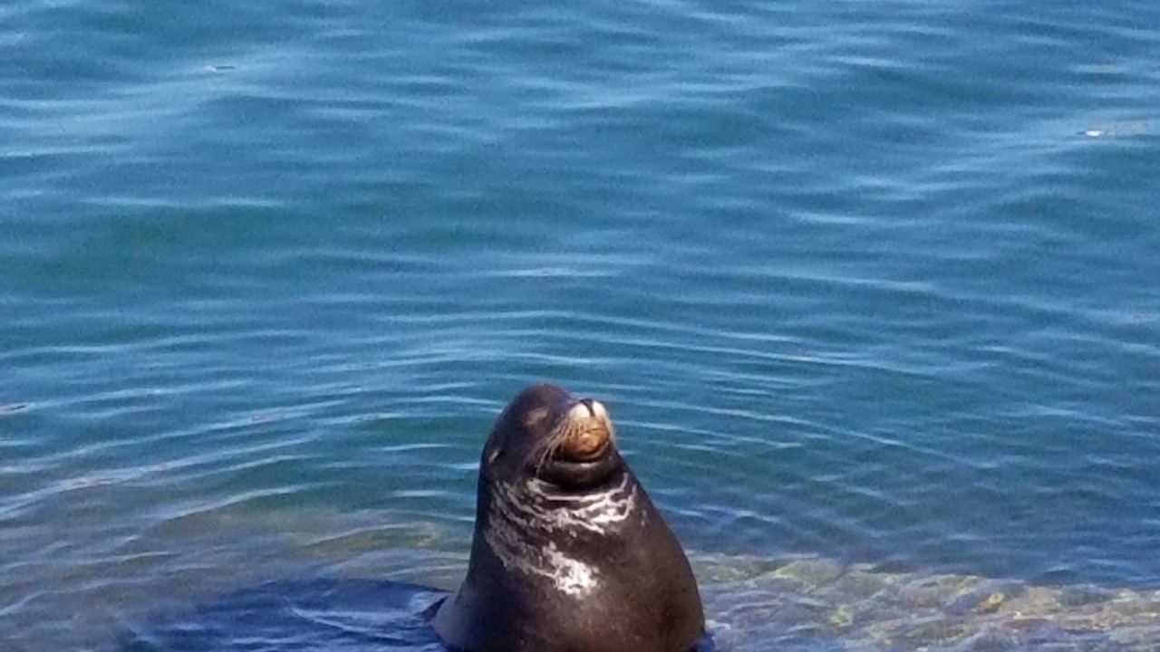 Photo of Others in Marina