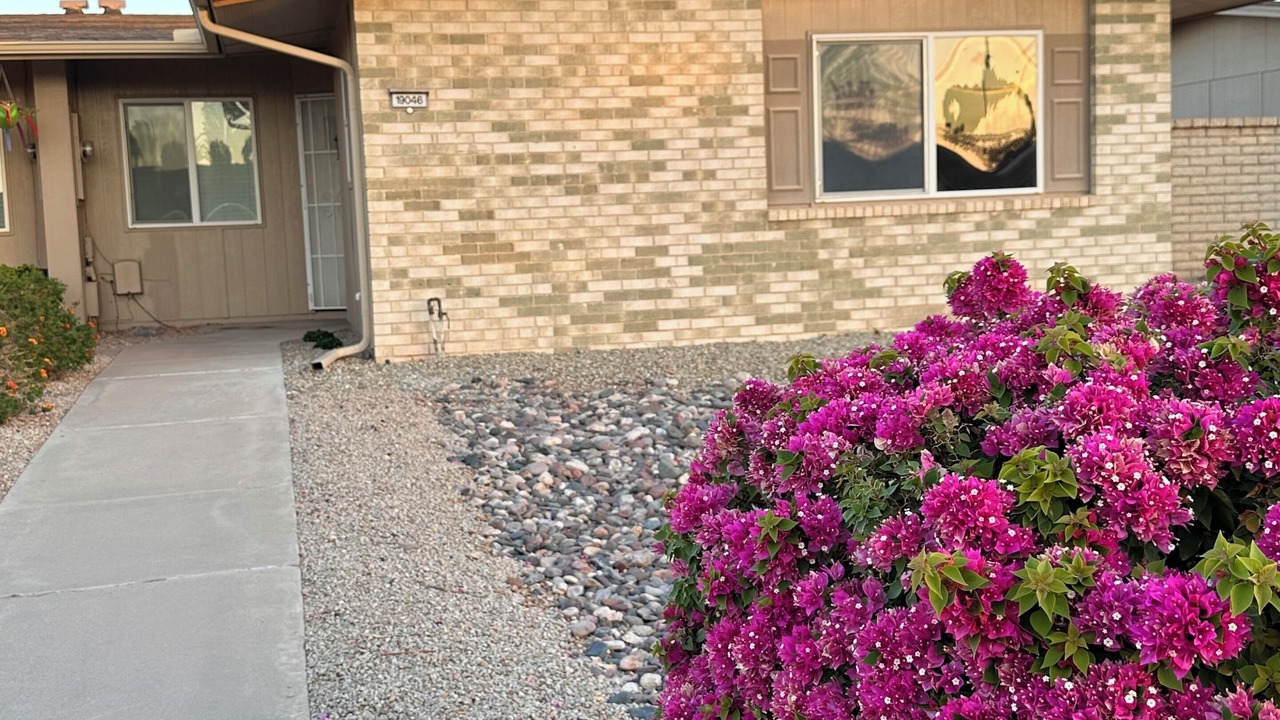 Photo of Outdoor in Sun City West