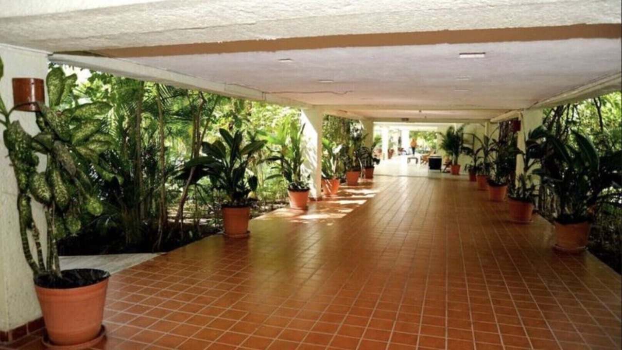 Photo of Others in Ixtapa