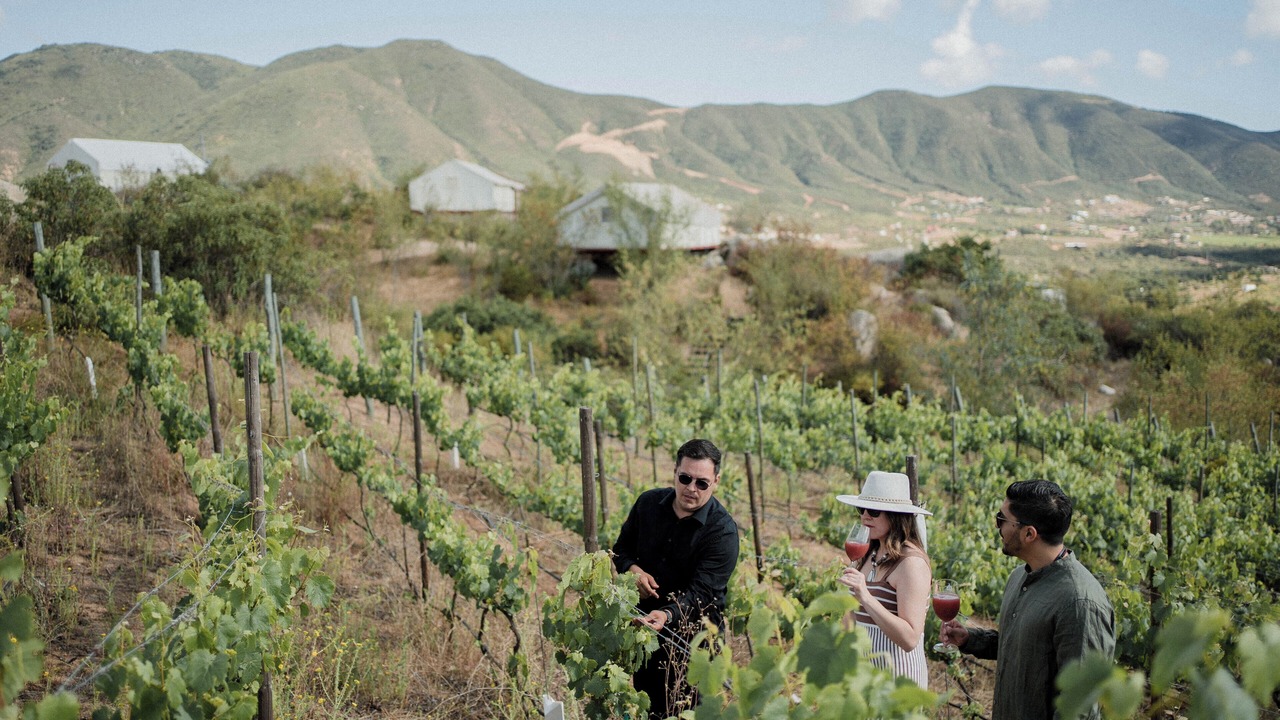 Photo of Others in San Antonio de las Minas
