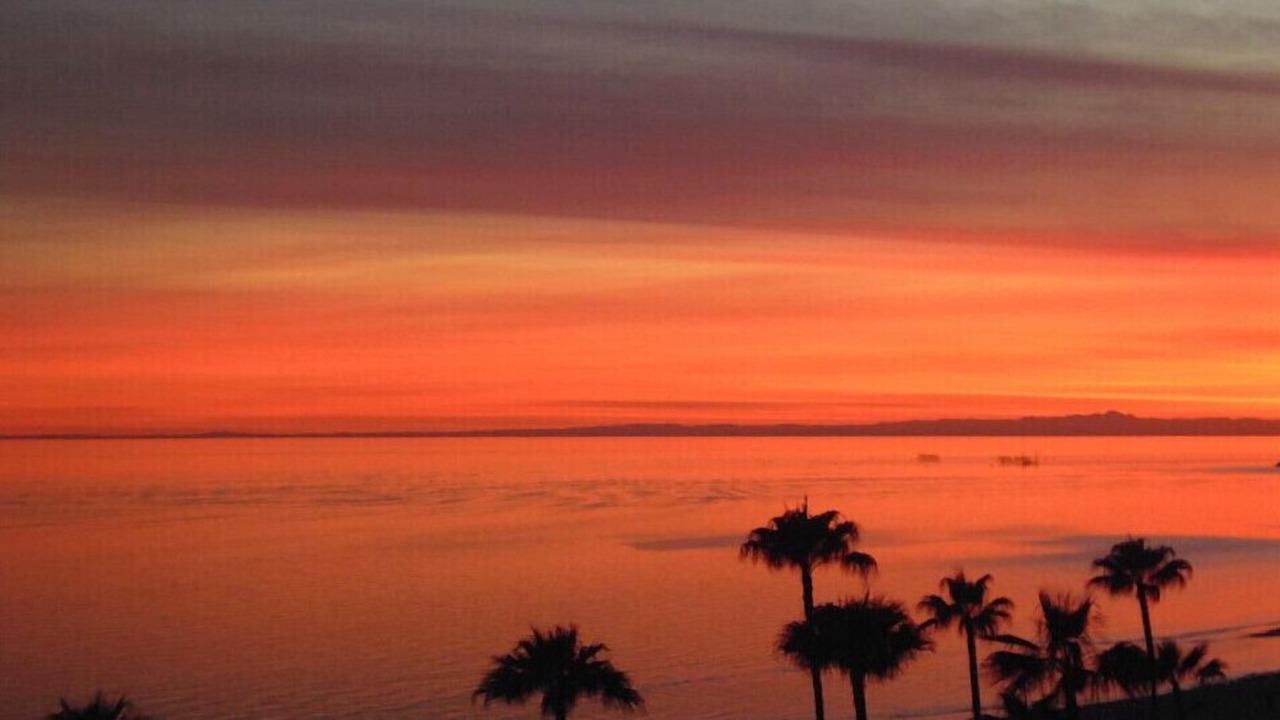 Photo of Others in Puerto Penasco
