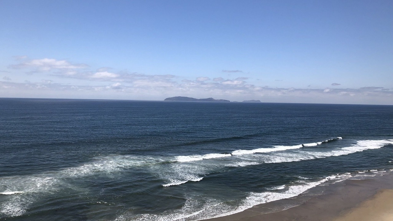 Photo of Others in Rosarito