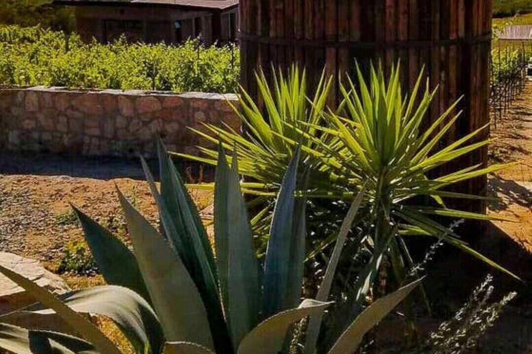 Photo of Outdoor in San Antonio de las Minas