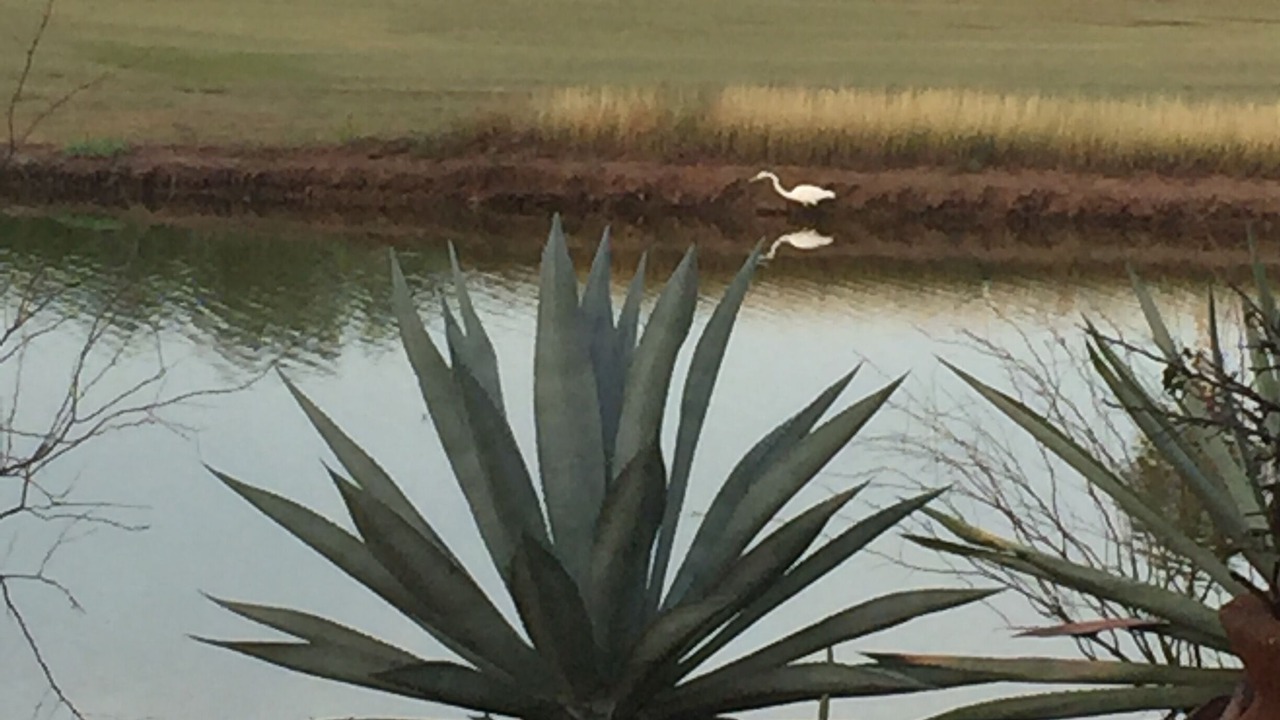 Photo of Outdoor in Laguna Vista