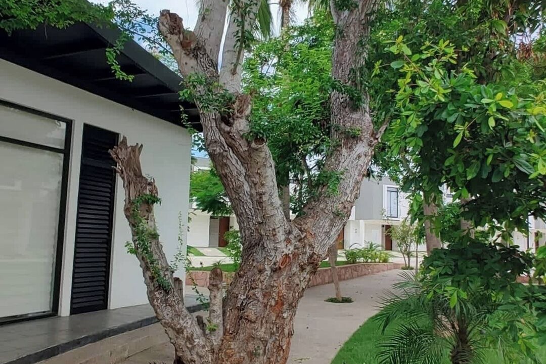 Photo of Outdoor in Valle Dorado