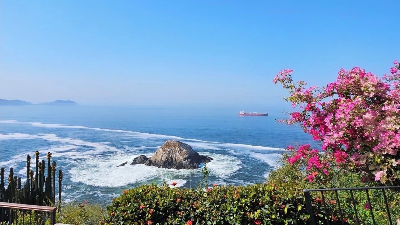 Photo of Outdoor in La Punta