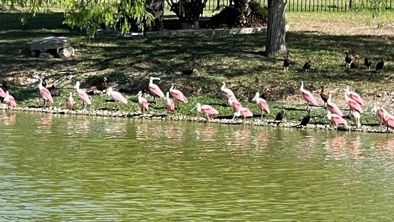 Photo of Others in Laguna Vista