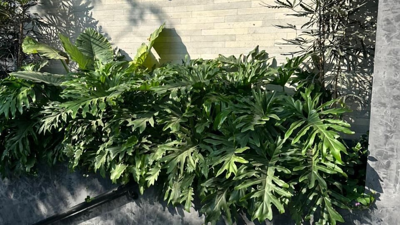 Photo of Outdoor in Lafayette