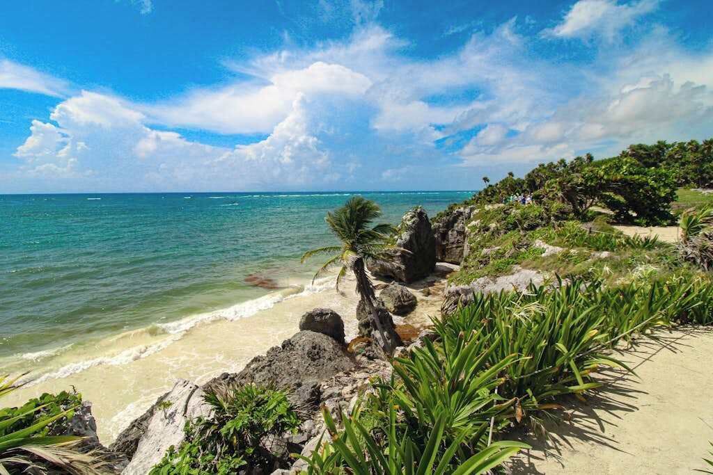 Photo of Others in Akumal