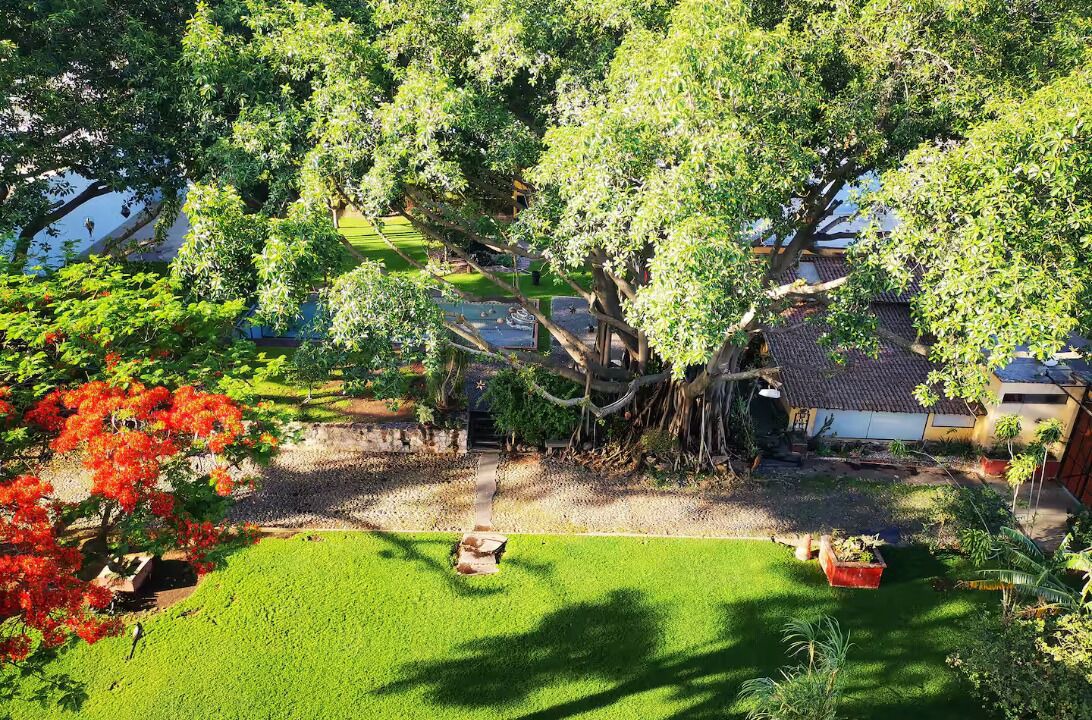 Photo of Outdoor in Guadalajara