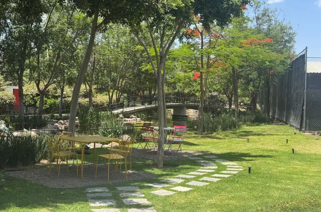 Photo of Outdoor in Zapopan