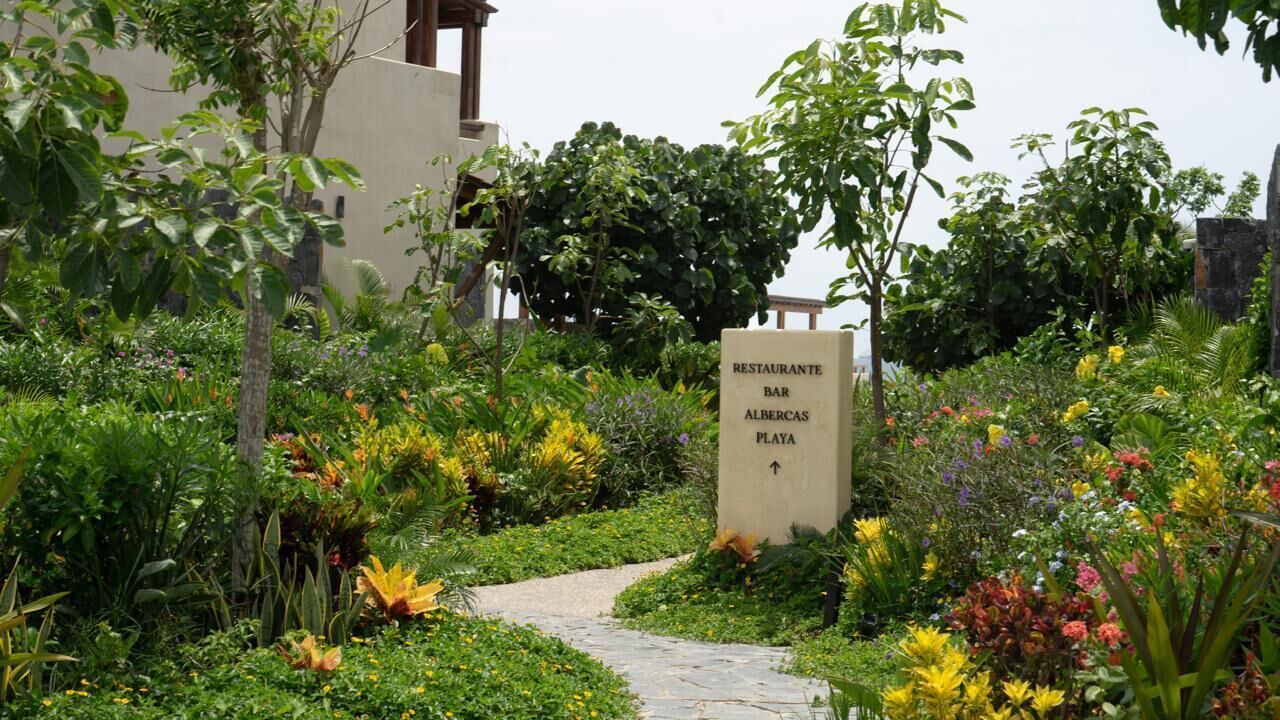 Photo of Outdoor in Ixtapa - Zihuatanejo