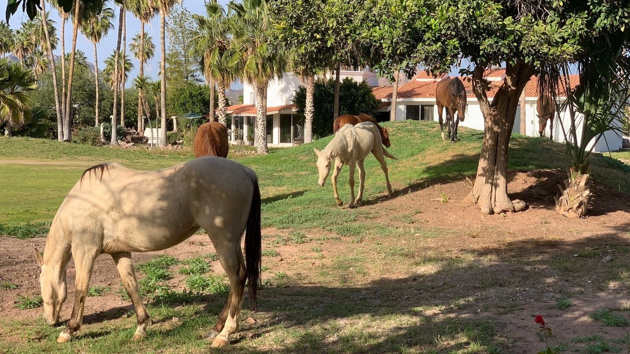 Photo of Others in San Carlos