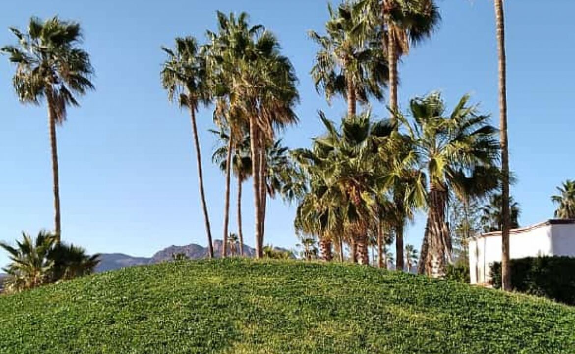 Photo of Others in San Carlos