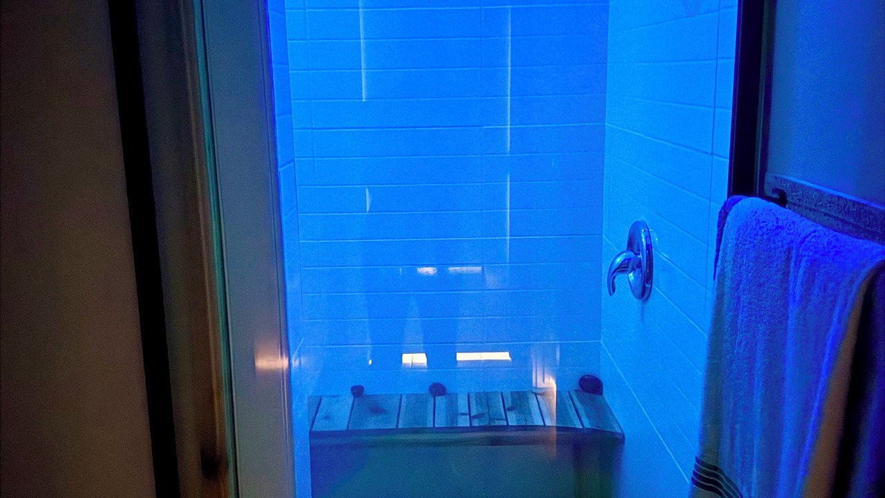 Photo of Bathroom in Harlingen