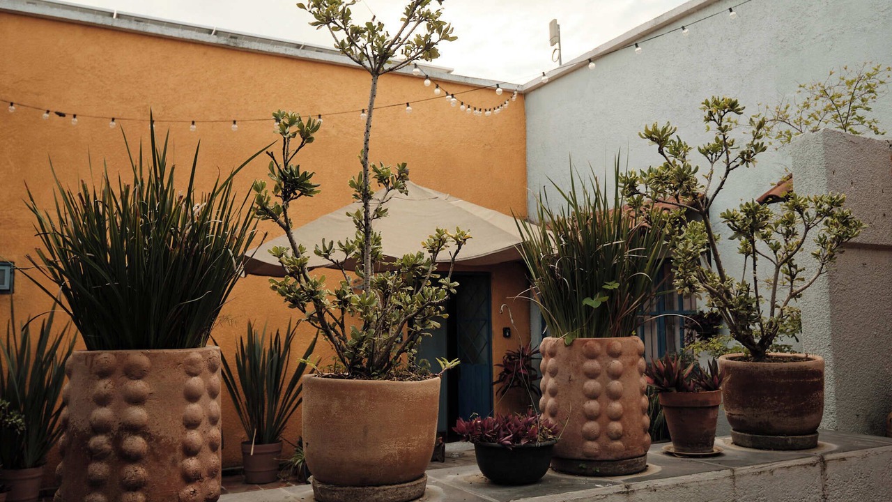 Photo of Outdoor in Downtown Guadalajara