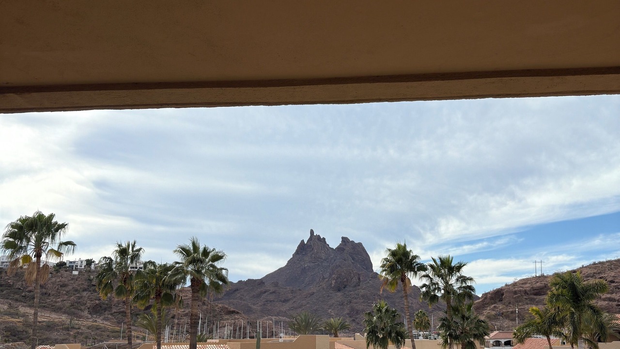Photo of Outdoor in San Carlos