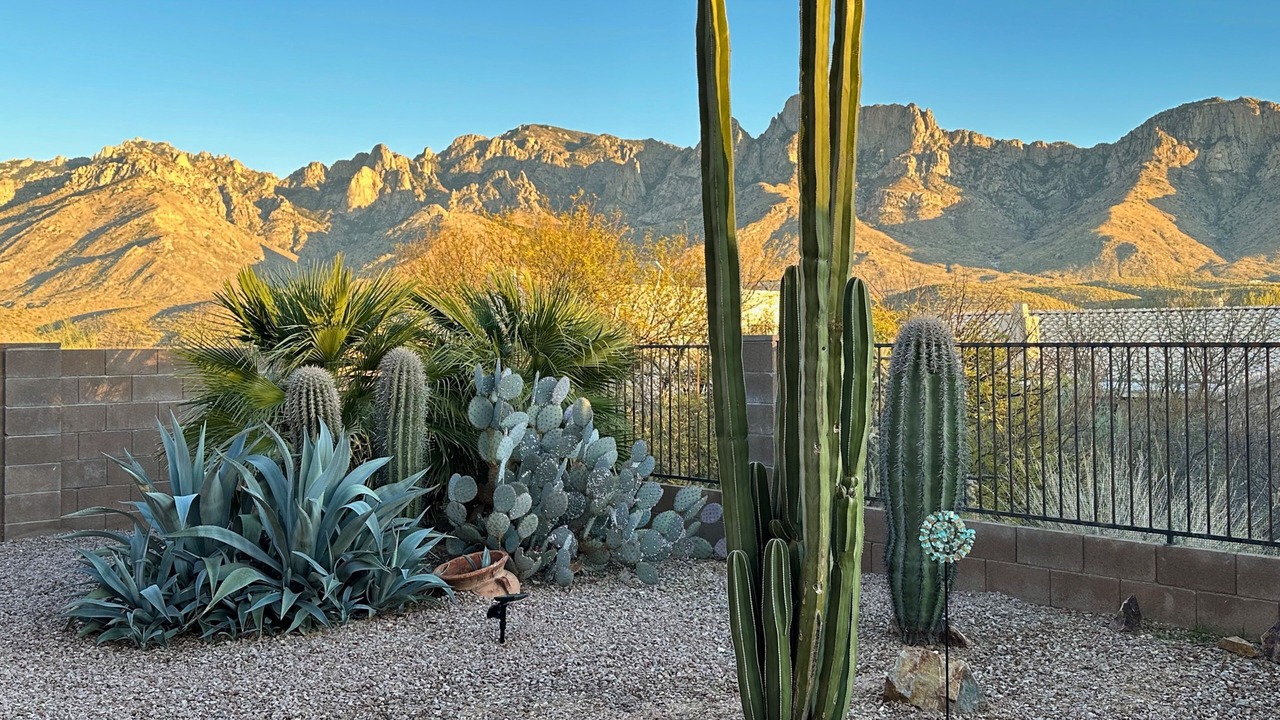 Photo of Outdoor in Catalina Shadows Estates