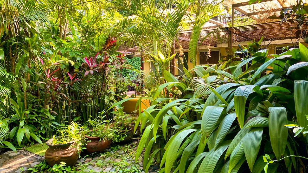 Photo of Outdoor in Comala