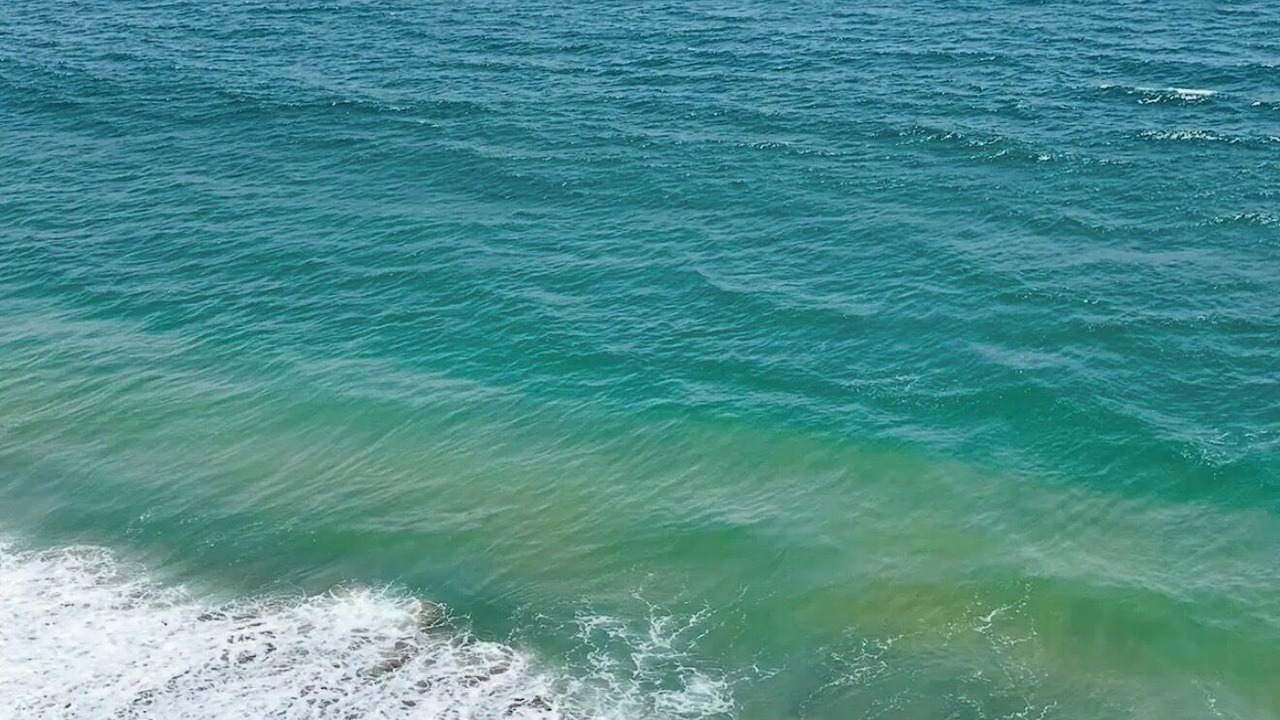 Photo of Others in Manzanillo