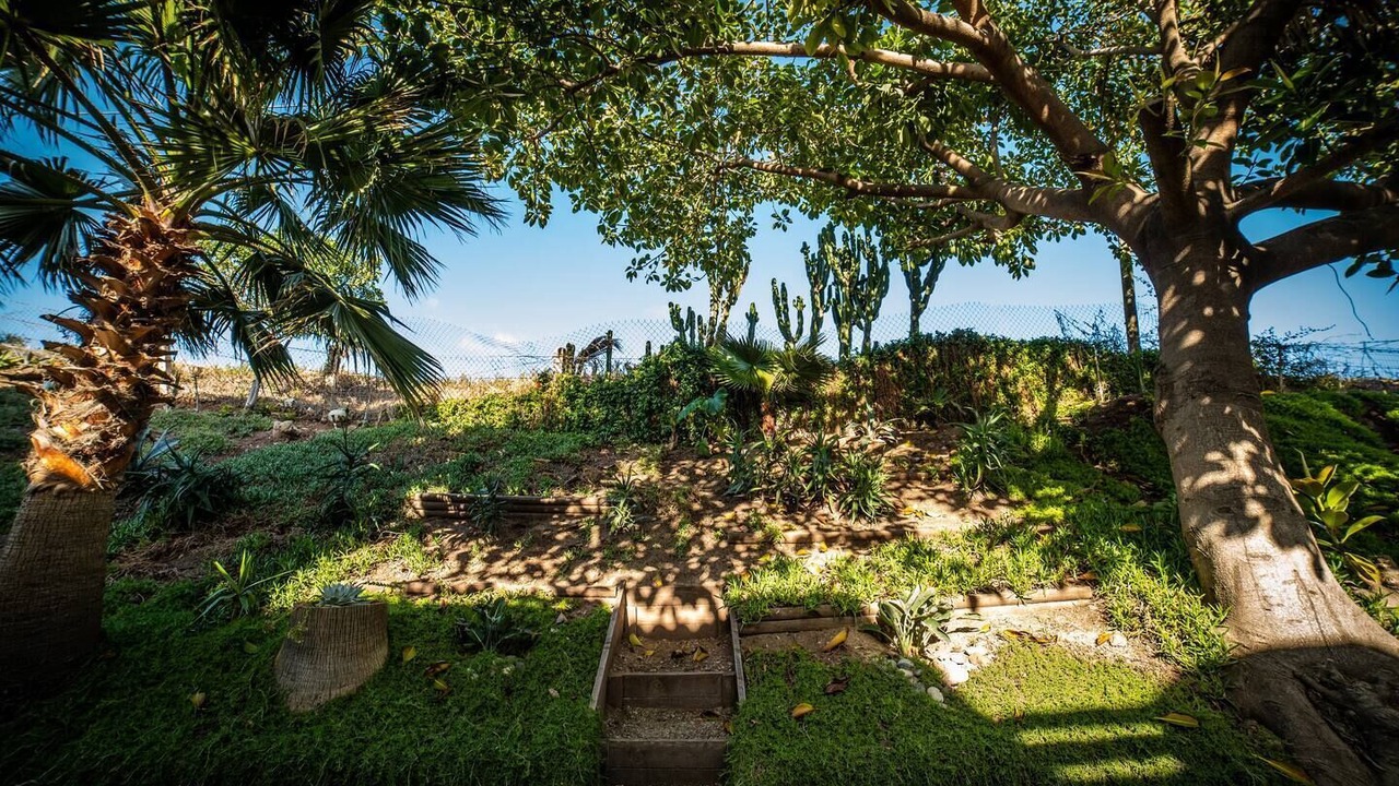 Photo of Outdoor in San Antonio del Mar