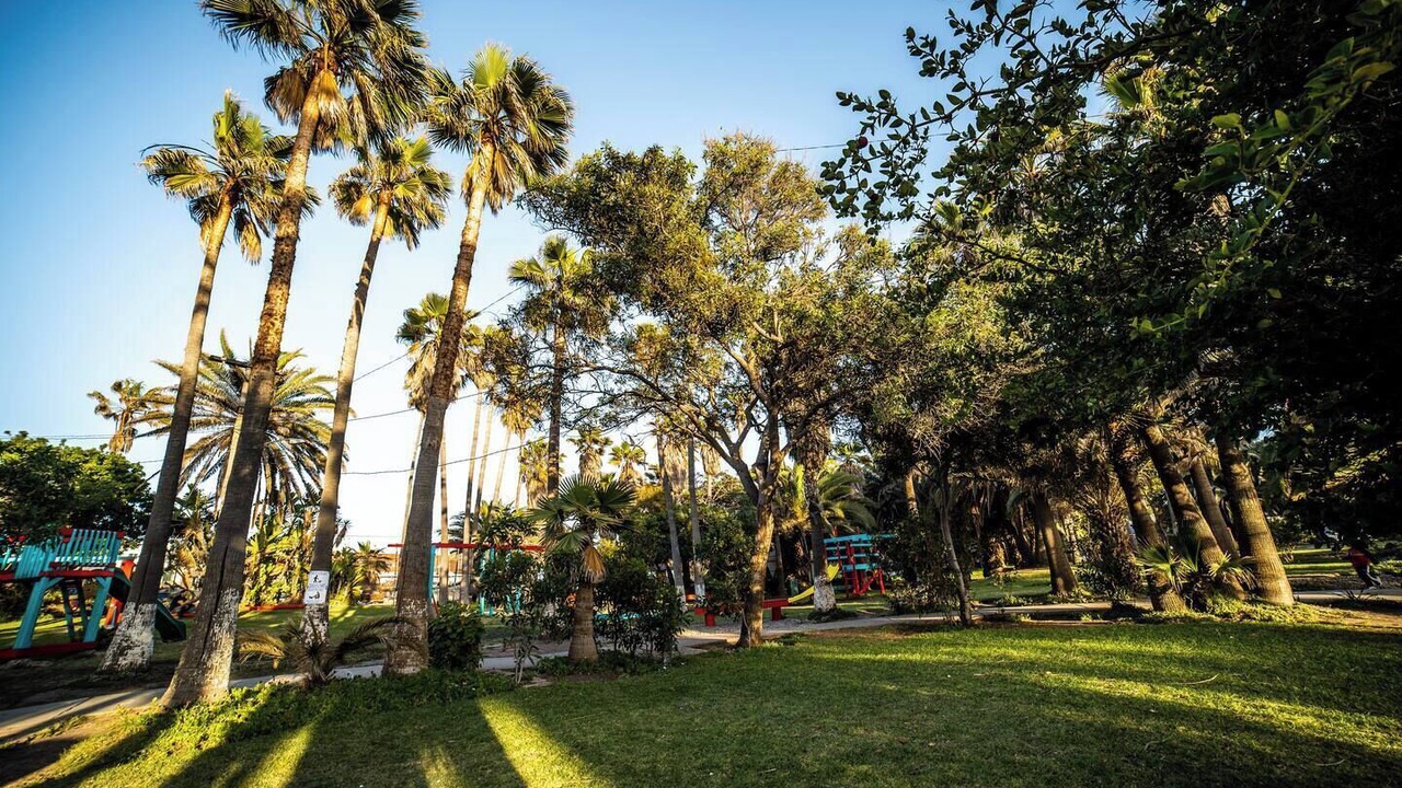 Photo of Others in San Antonio del Mar