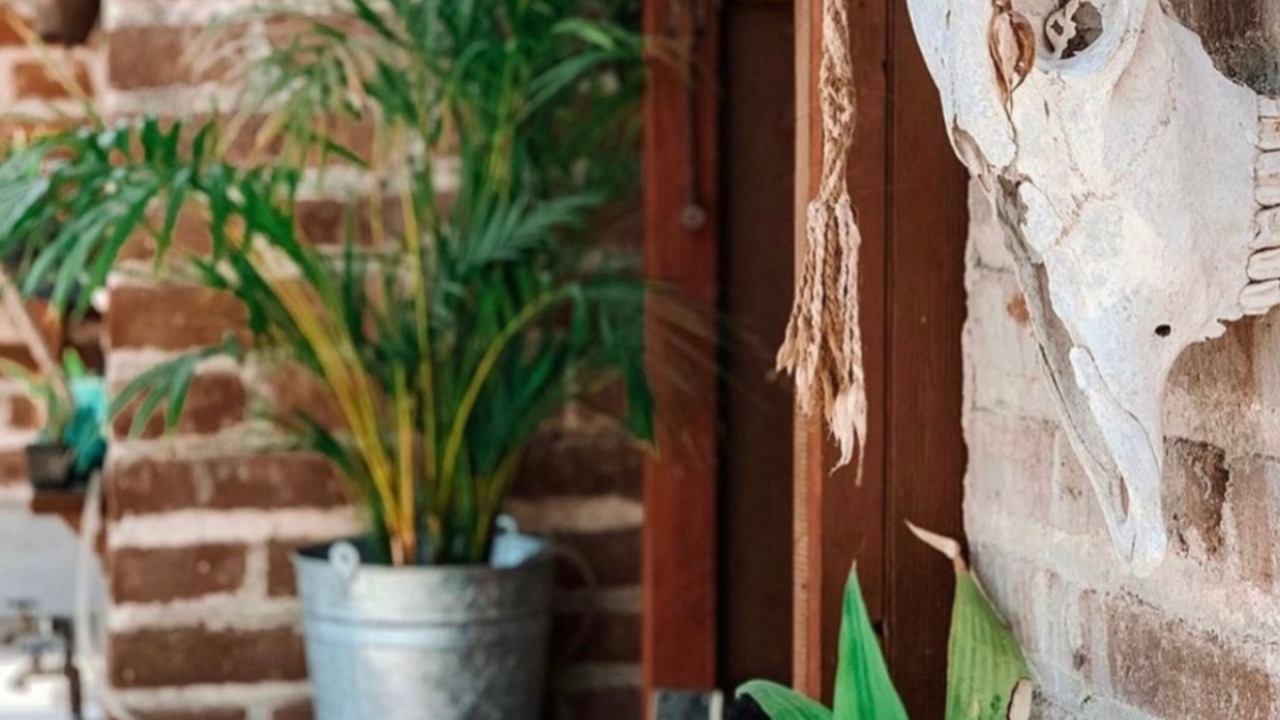 Photo of Outdoor in Todos Santos