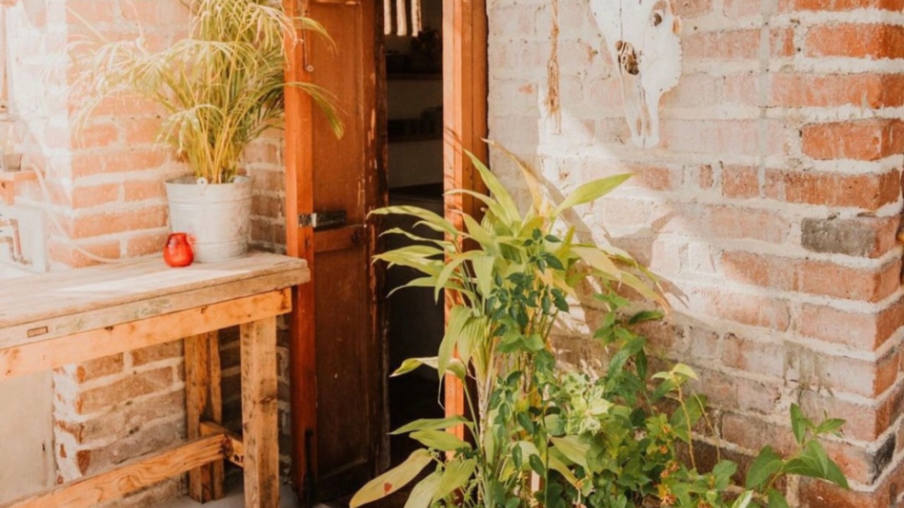 Photo of Others in Todos Santos