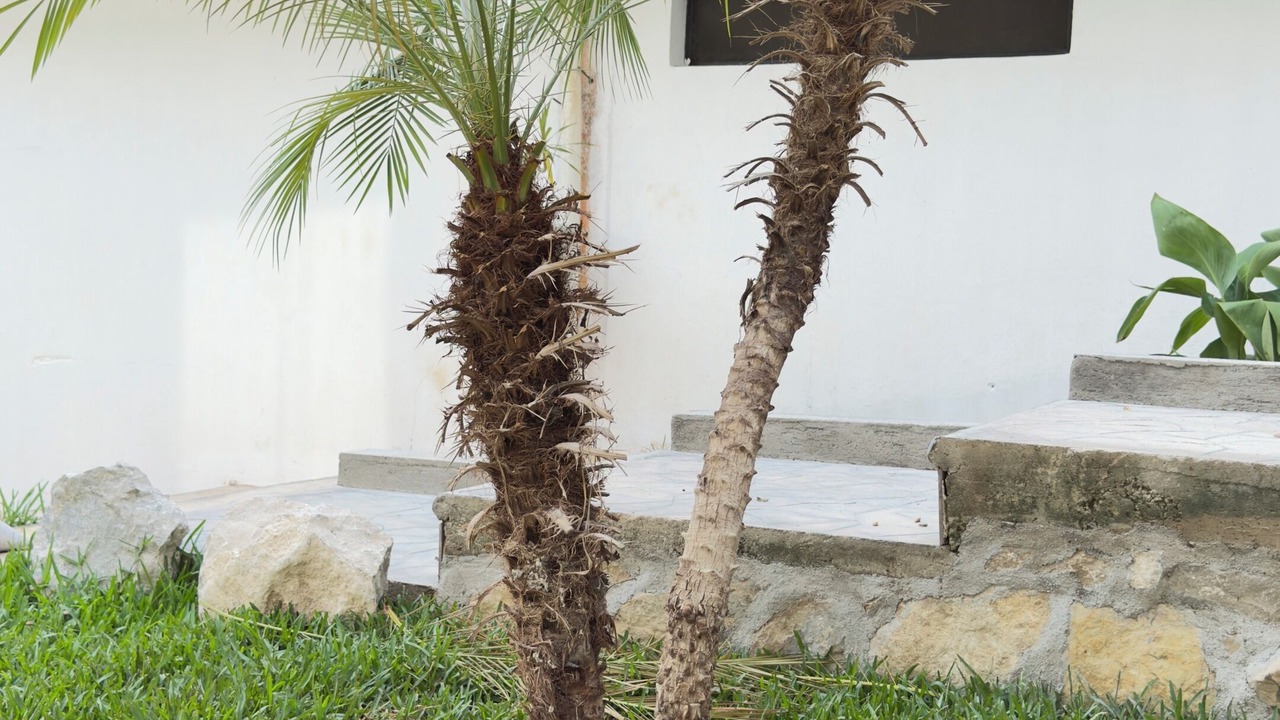 Photo of Outdoor in Chiapa De Corzo