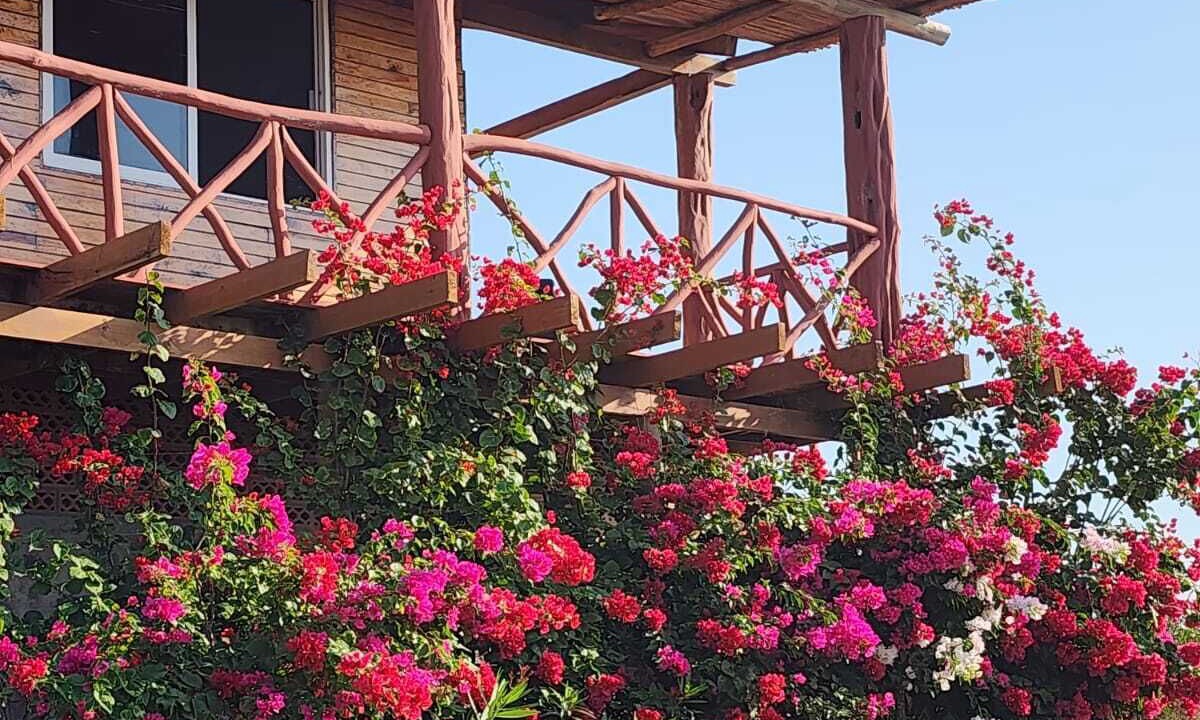 Photo of Outdoor in Isla Navidad