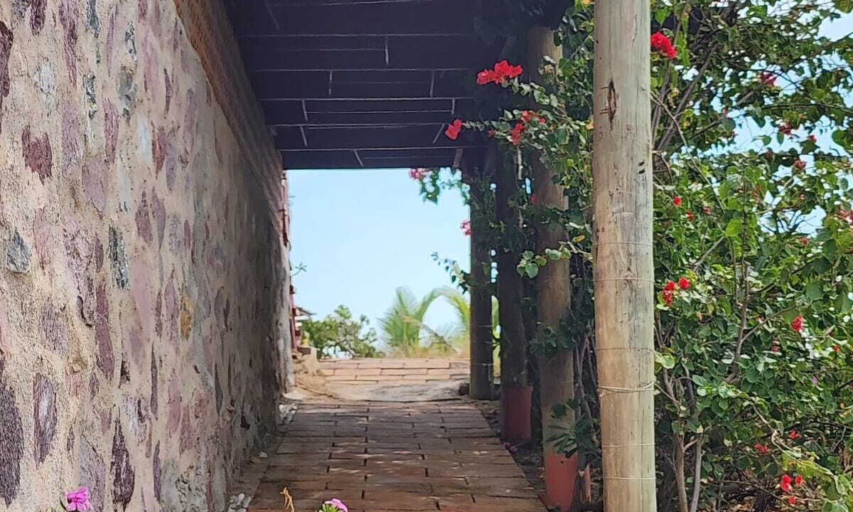 Photo of Outdoor in Isla Navidad