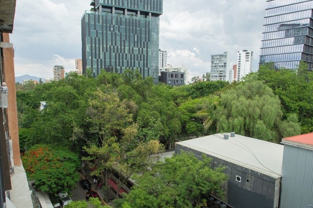 Photo of Others in Providencia