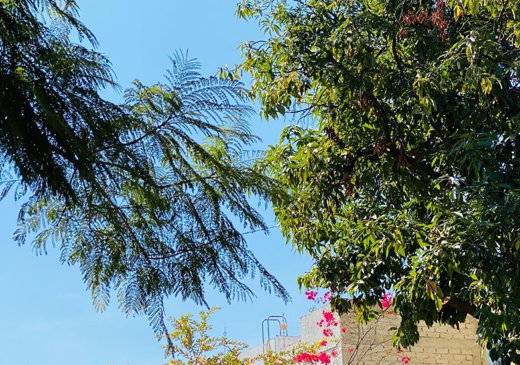 Photo of Others in Downtown Queretaro