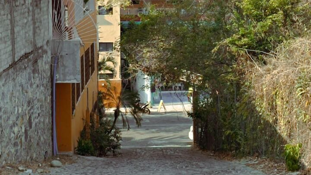 Photo of Outdoor in Playa Las Gatas